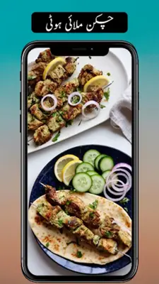 Pakistani Urdu Recipes android App screenshot 4